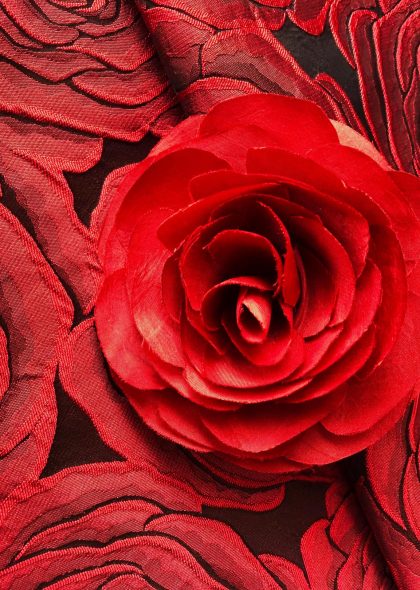 ROSA 02
