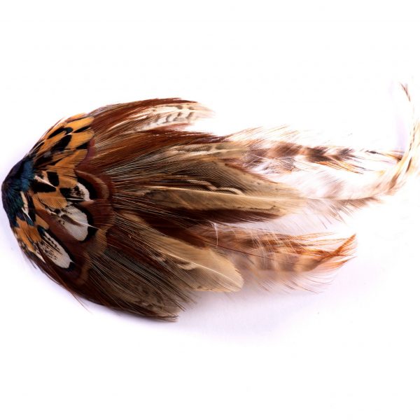BROCHE 02