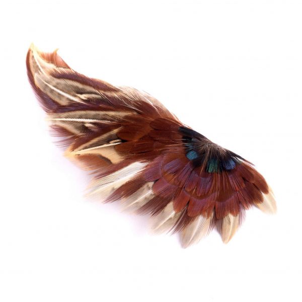 BROCHE 04